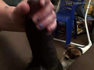 Loopy Lou Hisap Batang Hebat Pada Amatur Sekarang