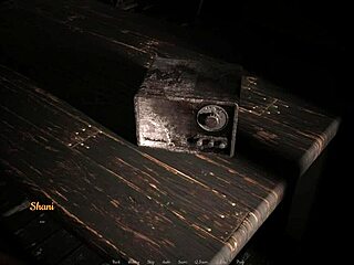 desert stalker ep 48 no commentary playthrough by piglet peter