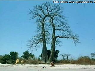 l'attrice indiana kitu gidwani va topless in un audace film francese