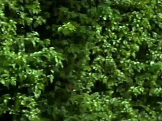 Public Bush Handjob And Cumshot Under Skirt!