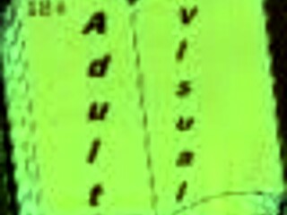 Welcome to Free Will 46: 3D Hentai Adventure