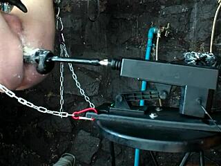 Chica de anime hentai atrapada en acción salvaje de máquina sexual