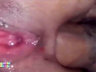 Hot and wet action in animated style