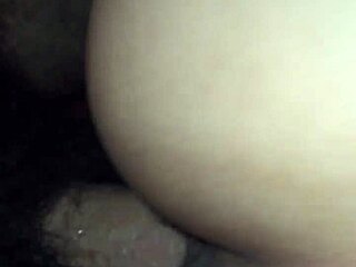 primer video of bent over pussy in doggystyle