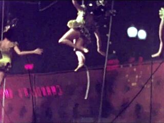 Vintage Anime Erotic Illustration