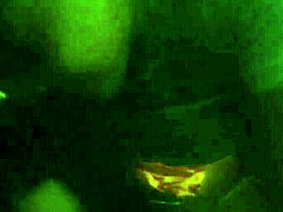 Asian teen brunette bends over for intense pussy licking. Then gets doggystyled with small cock.