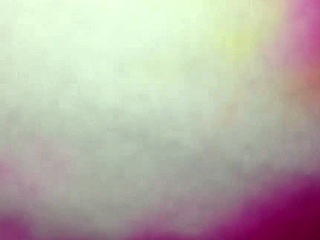 Fucking my latina friend Moni in the ass feels amazing