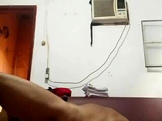 gugudasunga update 3 gugu em um excitante exercicio jul 03 2024