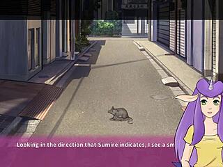 ninnin days part 2 with ninja panties