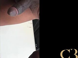 커브리한 멜리사 데바사랑 빠른 미션너리랑 도기