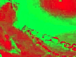 Caroleta Rootsの大きなお尻のアナルファックが激しい射精へ