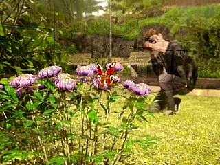 photo hunt part 10 gameplay outdoors is wild 😜