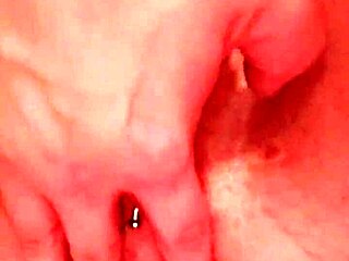 French phrase for sitting firmly on a large object