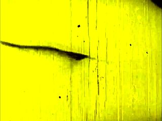 Ever seen such steamy vintage erotic drawings come to life like this?