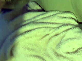 after the bar, the couple has hard sex with big tits bouncing