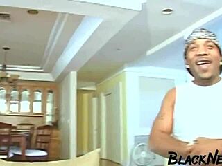 Interracial Action Featuring Asian Student in Steamy College Scene