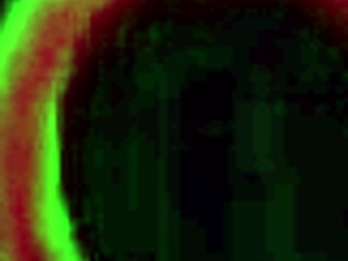 Rome Major makes Vixen Vanity’s bubble ass bounce hard