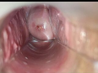 Orgasmo vaginal captured in stunning close-up detail for your eyes