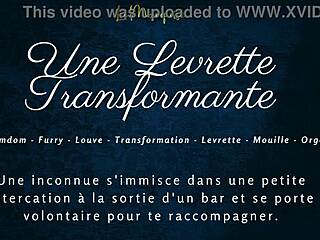 French furry audio porn with a wild transforming doggystyle scene.