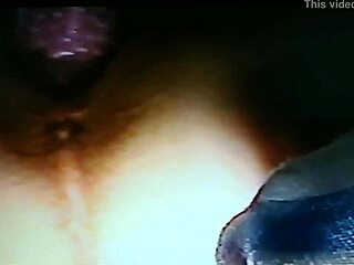 Blindfolded Wife Enjoys Rabbit Toy Play