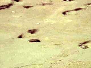 gorgeous teen agnes bathes naked body in ocean with sensual groping