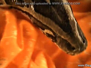 dancing in erotic style with my milf friend