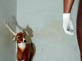 Showing Off Zodiac Patience with Bent Over Group Poses