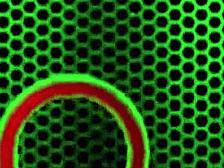 Wow! Chichi Medina’s Sexy Latina Soles Get Spermed by Philly John