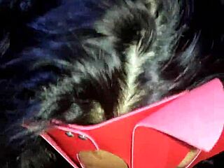 Hijastro finds me in lingerie, gives a wild ass and pussy lick. He tears my virgin hole open with brutal thrusts!