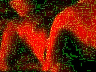 Jeg fikk øye på bruden min som knullet amatører på vårt hjemmelagde bryllup. Det var vilt og intenst.