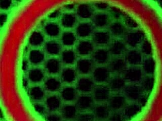 city council milf maggie green gets her pussy banged by mazee