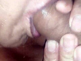 Excellent Mature Amateur Blowjob In Homemade Setting