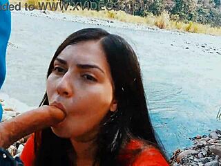 A couple risks a passionate blowjob in the open nature outdoors