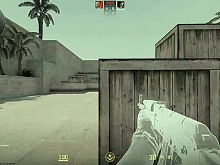 i sucked that monster cock hard