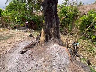 Outdoor Forest Hike With Partner