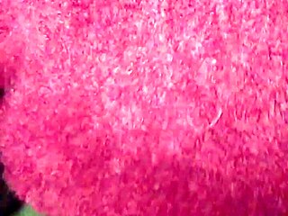 Ebony Beauty In First Scene