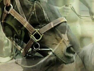 빈티지 보지와 레트로 개가 야외에서 짝짓는 거 봤어?