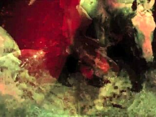 빈티지 보지와 레트로 개가 야외에서 짝짓는 거 봤어?