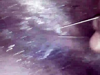 vegitables out with mykkel osas fun clips