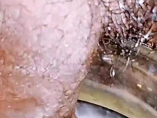 이 마이크로 자지 시시가 밖에서 랜덤한 곳에 오줌 싸는 거 봐