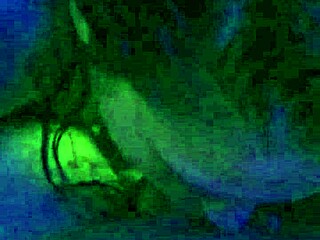 petite cute chick eagerly swallows dick in homemade scene