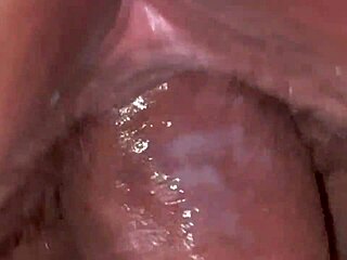 vagina peluda bajo la falda asmr vibes 😜