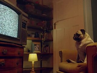 Benfit monkey, we couldn’t resist the desire while recording backstage