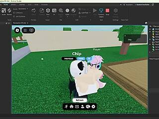 A condo file game with busty characters on display