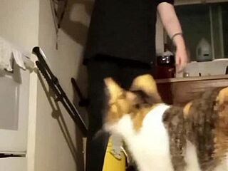 Amateur Workout To Music