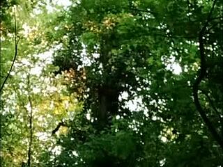 Есклав F Ла Салоп чукана силно в гората