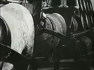 Vintage Erotic Drawings