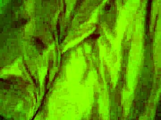 I Watched Big Dick Chris Destroy Ebony Pussy in Doggystyle