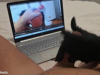 Milf Handjob Jerks Off Big Cock Until Cum on Gloves POV