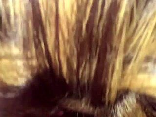 una mamada de buenas noches llena de pasión intensa